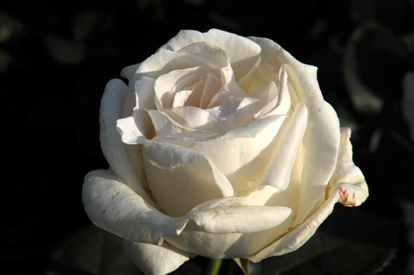 120518 19 DSC_5865.jpg